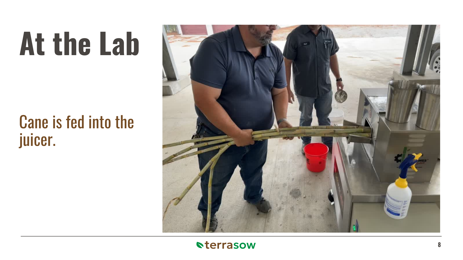 Team Collaboration